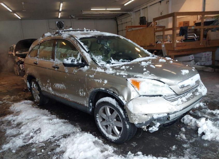 2009 Honda Cr-v LX (VIN JHLRE48379C010487) main photo
