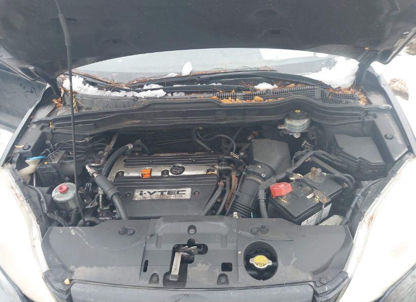 Photo 10 of 2007 Honda Cr-v LX (VIN JHLRE483X7C031881)