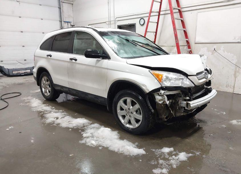 2007 Honda Cr-v EX (VIN JHLRE48537C020156) main photo