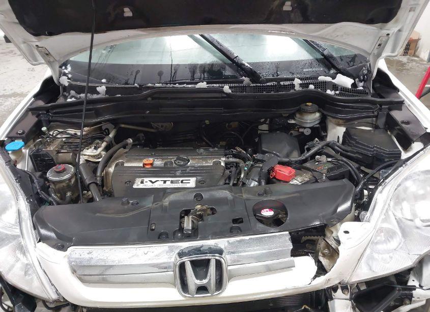 Photo 10 of 2007 Honda Cr-v EX (VIN JHLRE48537C020156)