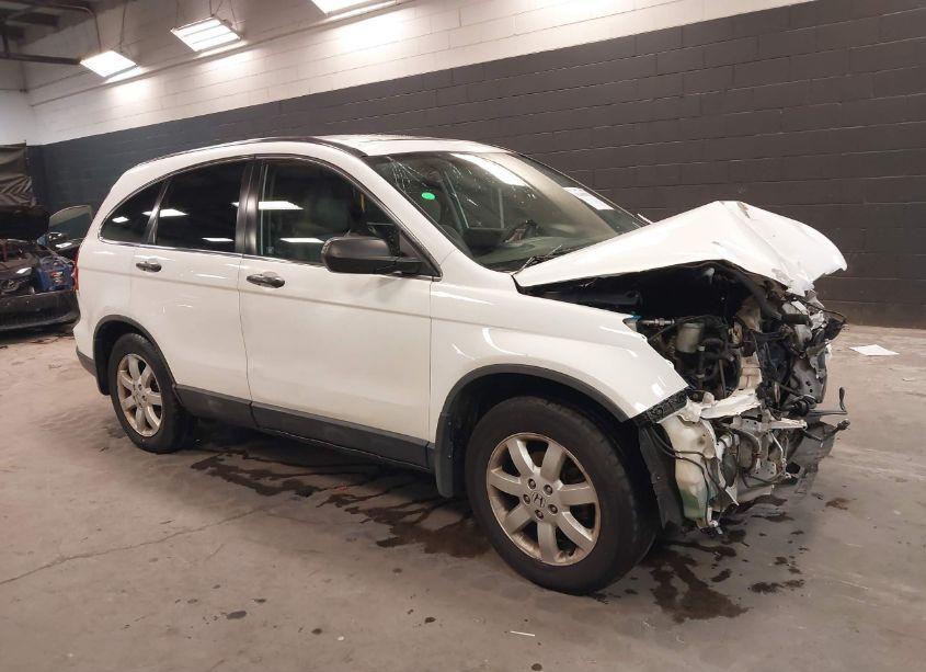 2007 Honda Cr-v EX (VIN JHLRE48537C030881) main photo