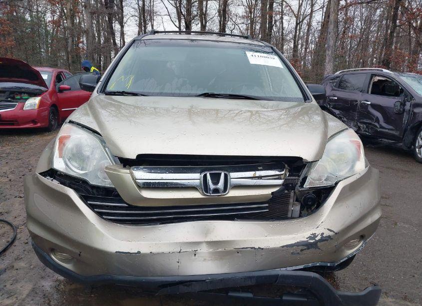 Photo 12 of 2007 Honda Cr-v EX (VIN JHLRE48547C066367)