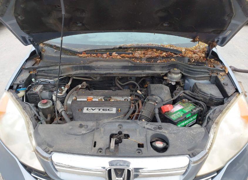Photo 10 of 2008 Honda Cr-v EX (VIN JHLRE48548C066094)