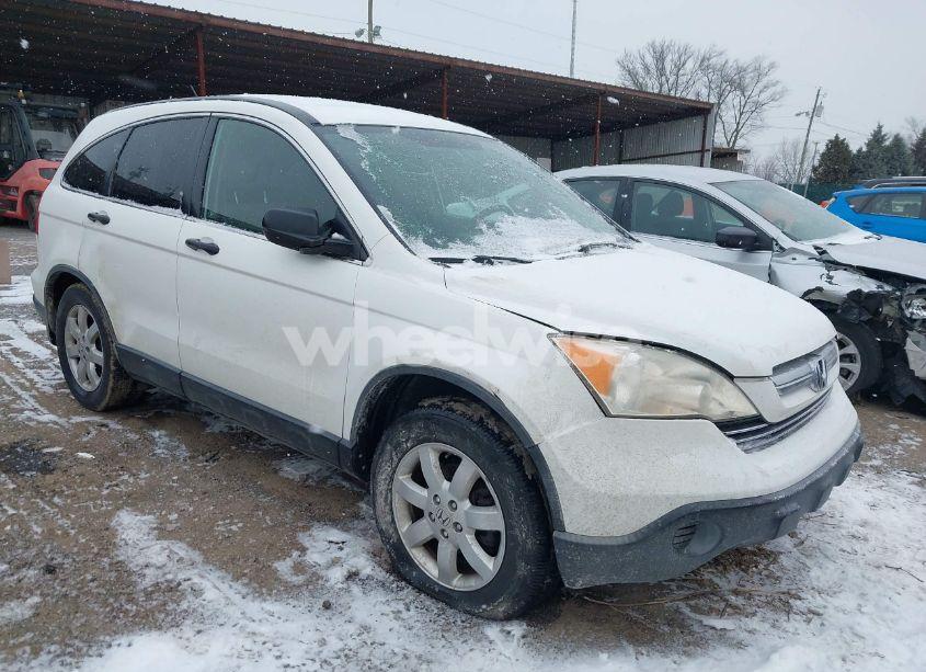 2007 Honda Cr-v EX (VIN JHLRE48557C033698) main photo