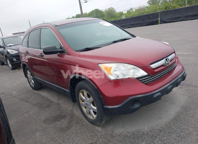 2007 Honda Cr-v EX (VIN JHLRE485X7C019408) main photo