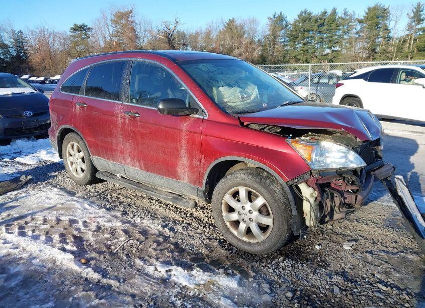 2007 Honda Cr-v EX (VIN JHLRE485X7C058189) main photo