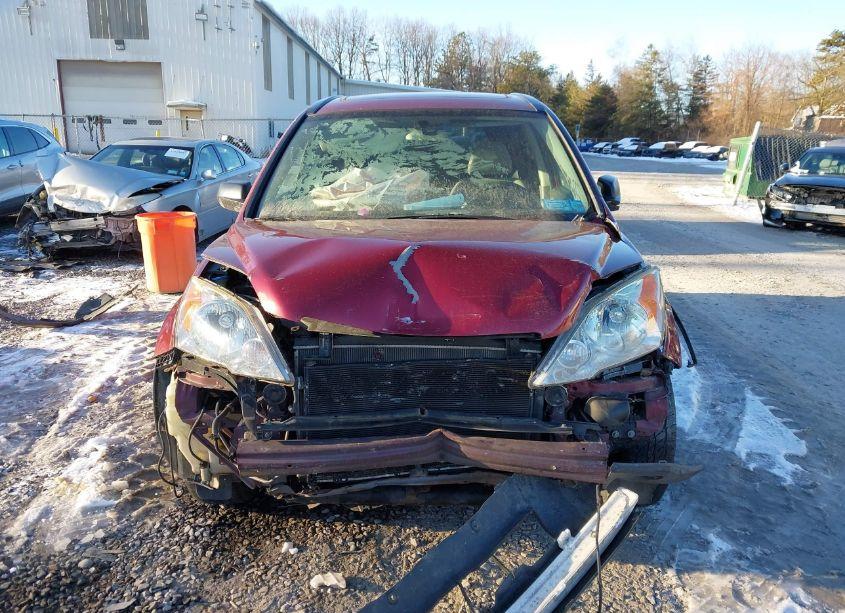 Photo 12 of 2007 Honda Cr-v EX (VIN JHLRE485X7C058189)