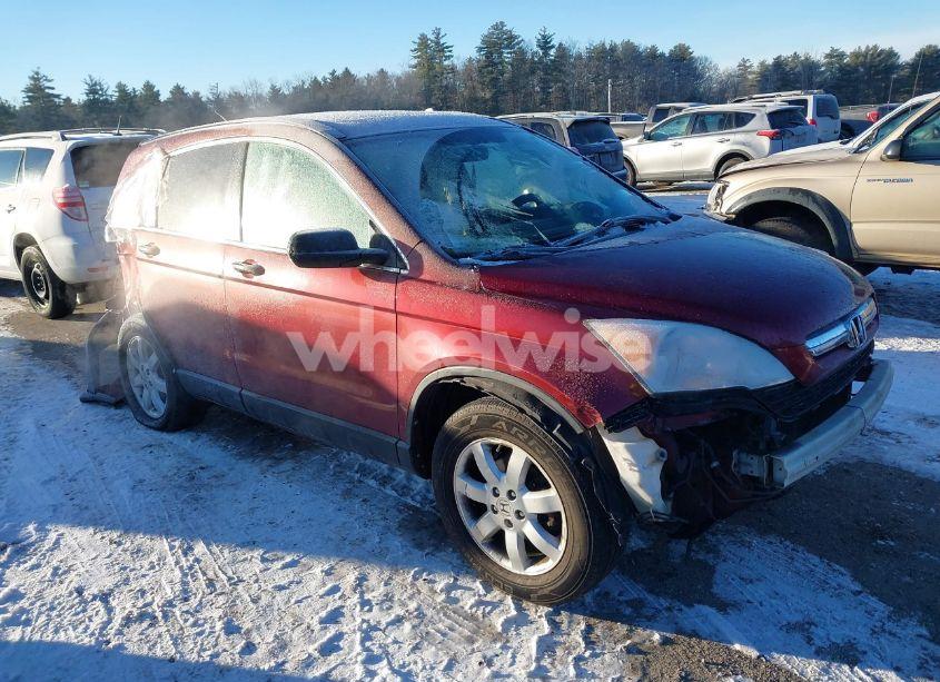 2008 Honda Cr-v EX (VIN JHLRE485X8C050658) main photo