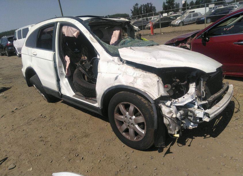 2007 Honda Cr-v EX-L (VIN JHLRE48707C074144) main photo