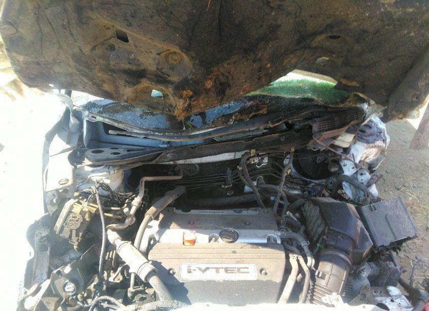 Photo 10 of 2007 Honda Cr-v EX-L (VIN JHLRE48707C074144)