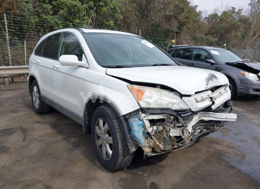 2007 Honda Cr-v EX-L (VIN JHLRE48707C116165) main photo
