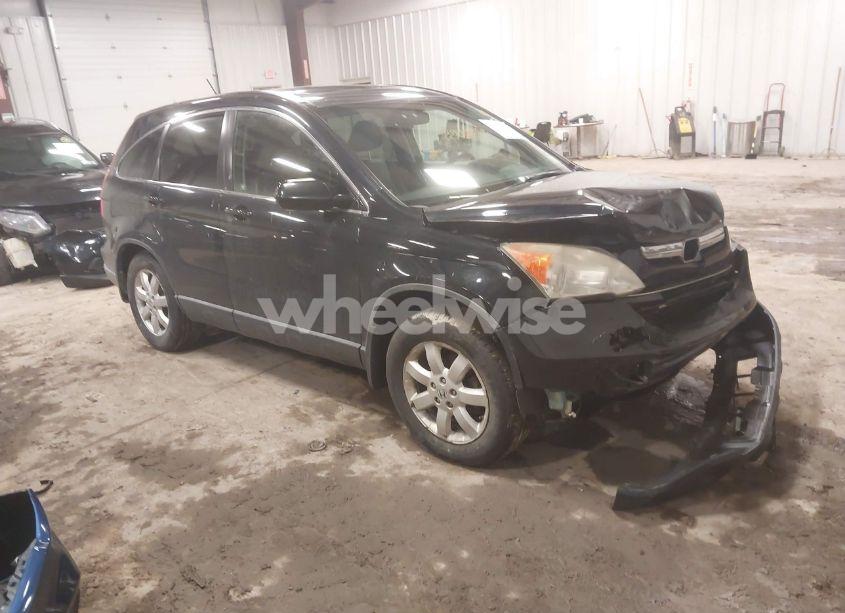 2008 Honda Cr-v EX-L (VIN JHLRE48708C026354) main photo