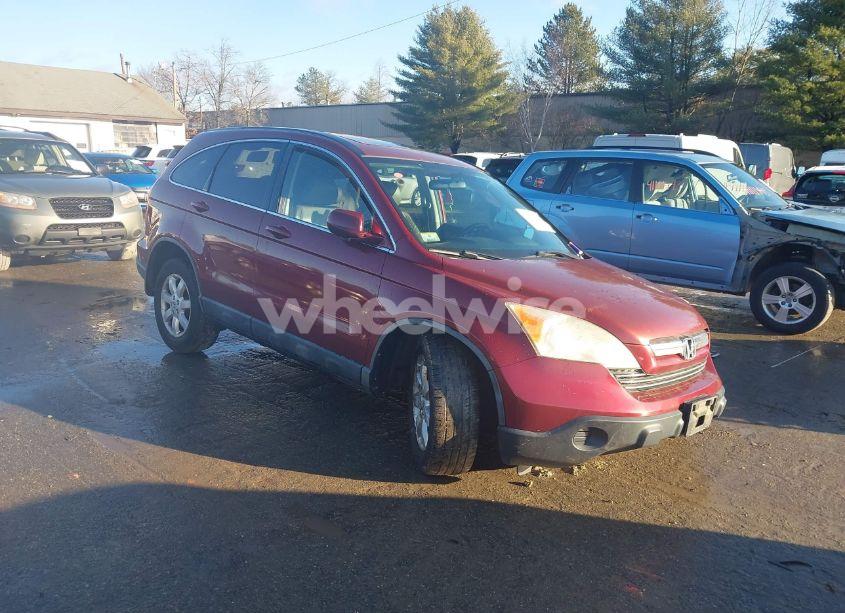 2007 Honda Cr-v EX-L (VIN JHLRE48717C119561) main photo