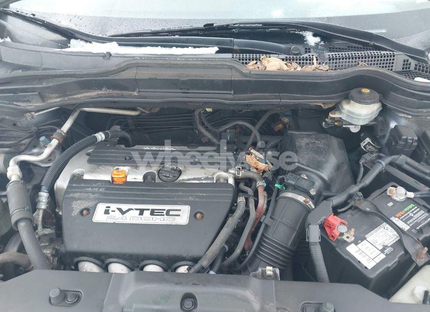 Photo 10 of 2008 Honda Cr-v EX-L (VIN JHLRE48718C039047)