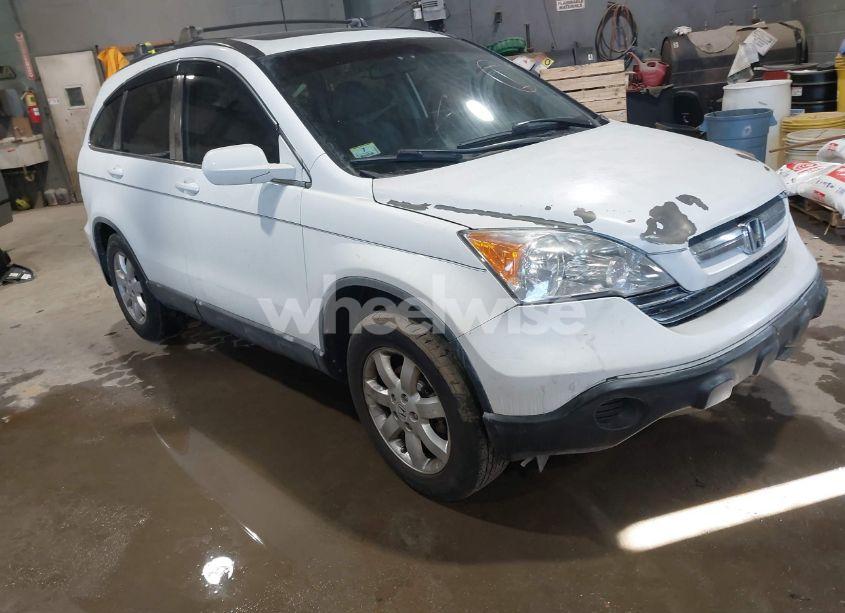 2009 Honda Cr-v EX-L (VIN JHLRE48719C008981) main photo