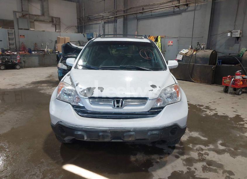 Photo 12 of 2009 Honda Cr-v EX-L (VIN JHLRE48719C008981)