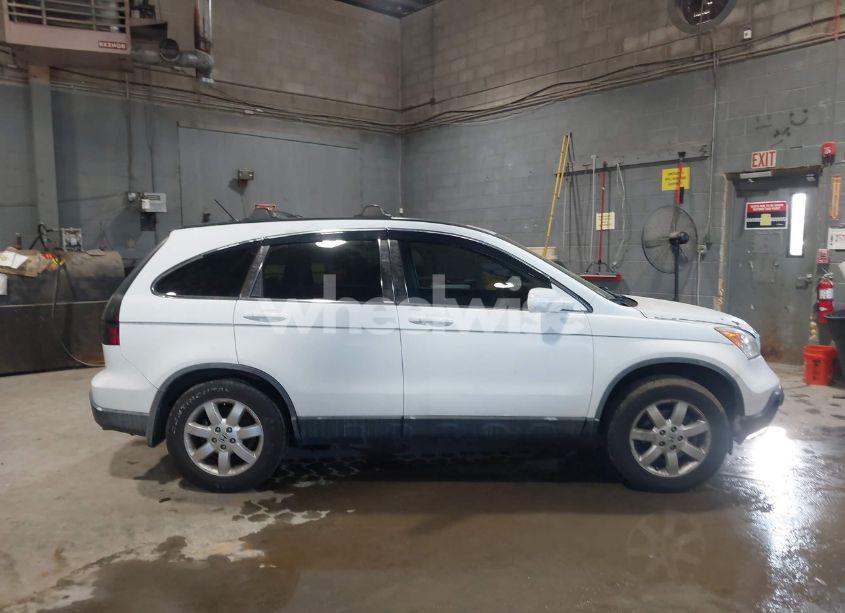 Photo 13 of 2009 Honda Cr-v EX-L (VIN JHLRE48719C008981)