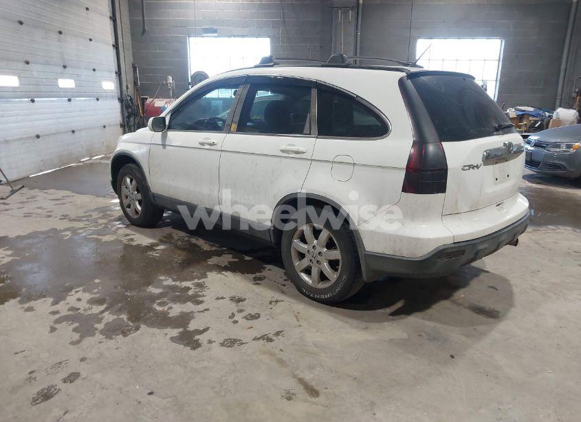 Photo 3 of 2009 Honda Cr-v EX-L (VIN JHLRE48719C008981)