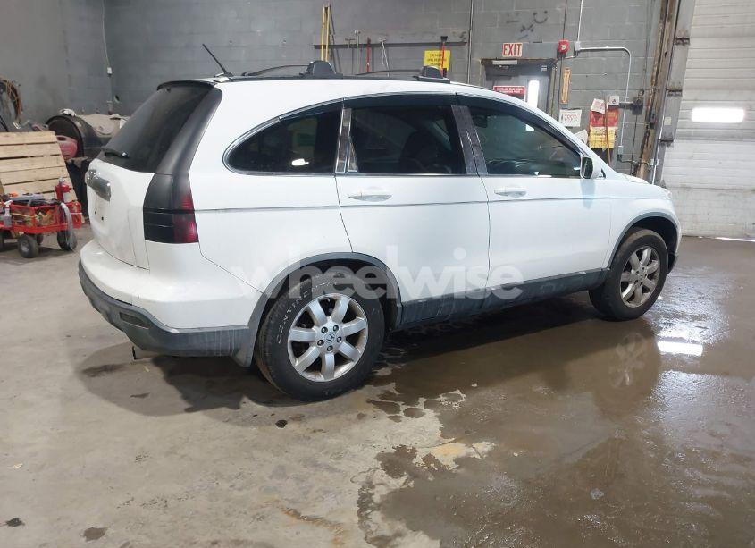 Photo 4 of 2009 Honda Cr-v EX-L (VIN JHLRE48719C008981)