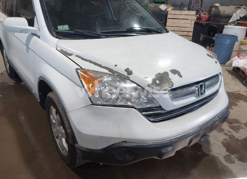 Photo 6 of 2009 Honda Cr-v EX-L (VIN JHLRE48719C008981)