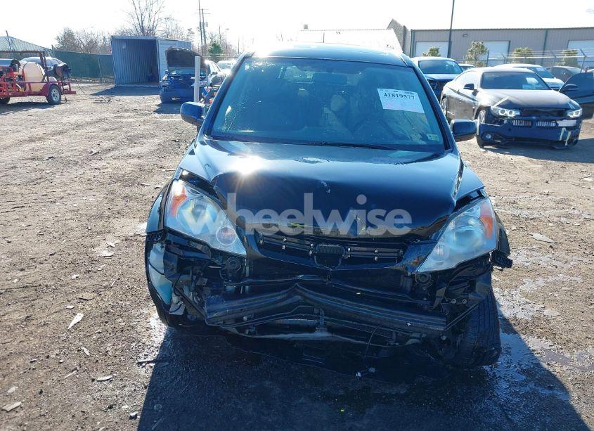 Photo 12 of 2009 Honda Cr-v EX-L (VIN JHLRE48719C022962)