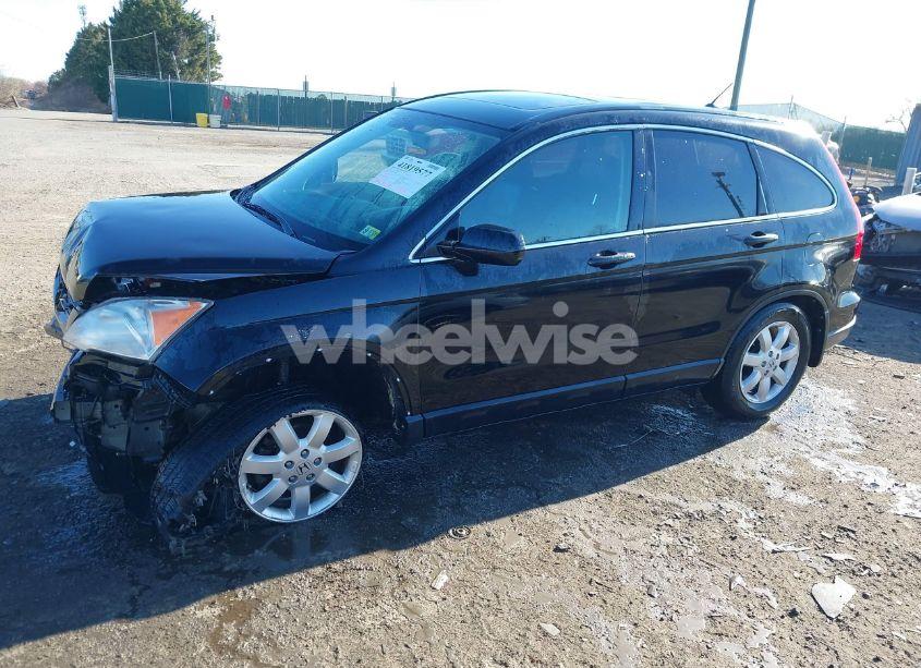 Photo 14 of 2009 Honda Cr-v EX-L (VIN JHLRE48719C022962)