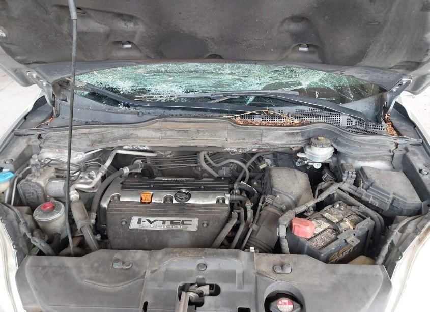 Photo 10 of 2007 Honda Cr-v EX-L (VIN JHLRE48727C037726)