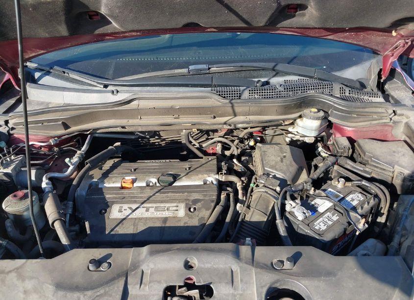 Photo 10 of 2008 Honda Cr-v EX-L (VIN JHLRE48728C074552)