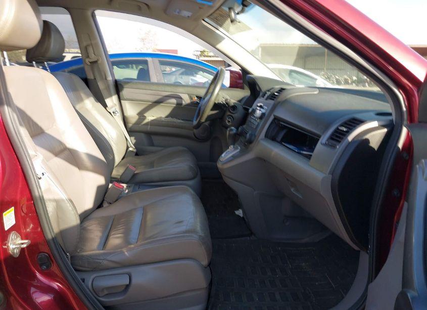 Photo 5 of 2008 Honda Cr-v EX-L (VIN JHLRE48728C074552)