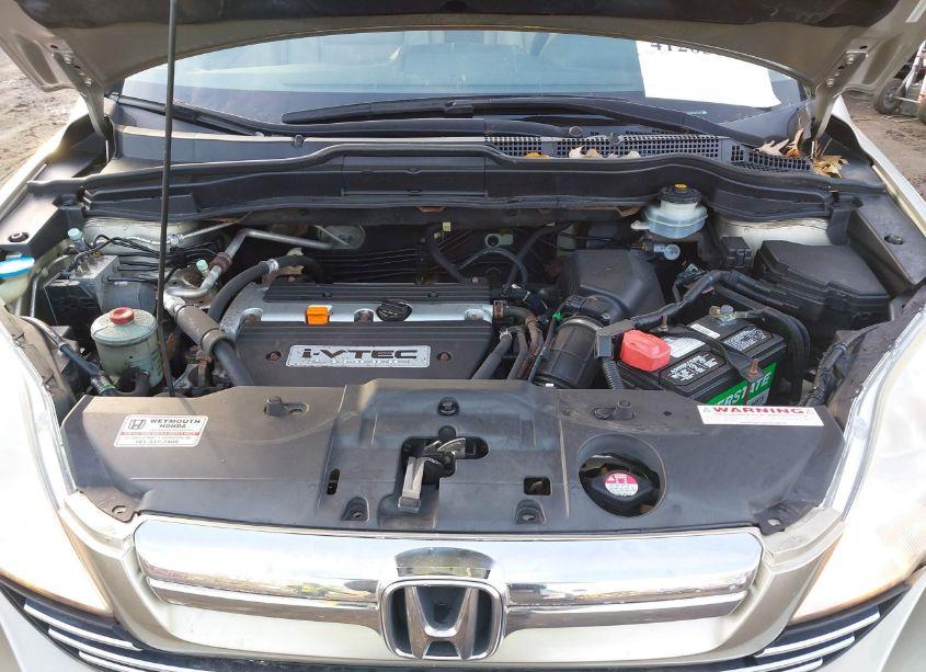 Photo 10 of 2007 Honda Cr-v EX-L (VIN JHLRE48737C003097)