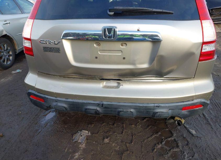 Photo 12 of 2007 Honda Cr-v EX-L (VIN JHLRE48737C003097)