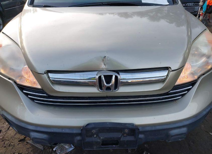 Photo 6 of 2007 Honda Cr-v EX-L (VIN JHLRE48737C003097)