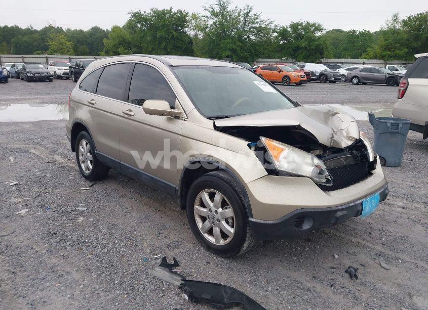 2007 Honda Cr-v EX-L (VIN JHLRE48737C055880) main photo