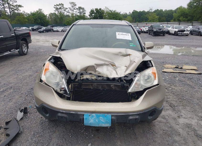 Photo 12 of 2007 Honda Cr-v EX-L (VIN JHLRE48737C055880)