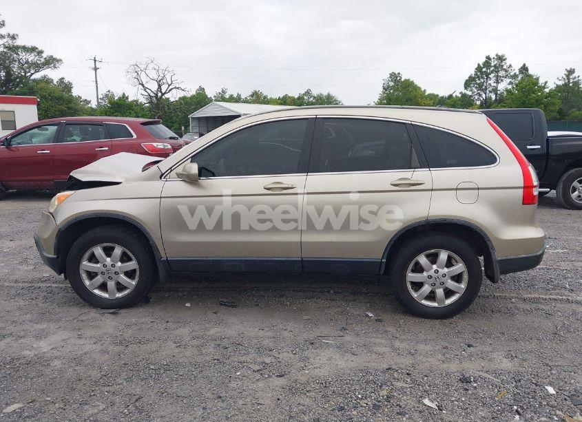 Photo 14 of 2007 Honda Cr-v EX-L (VIN JHLRE48737C055880)