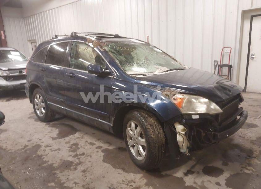 2007 Honda Cr-v EX-L (VIN JHLRE48737C120971) main photo