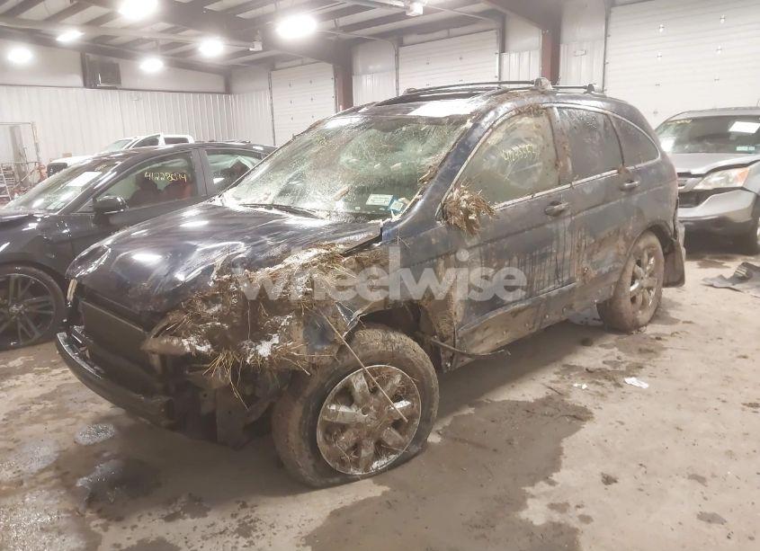 Photo 2 of 2007 Honda Cr-v EX-L (VIN JHLRE48737C120971)