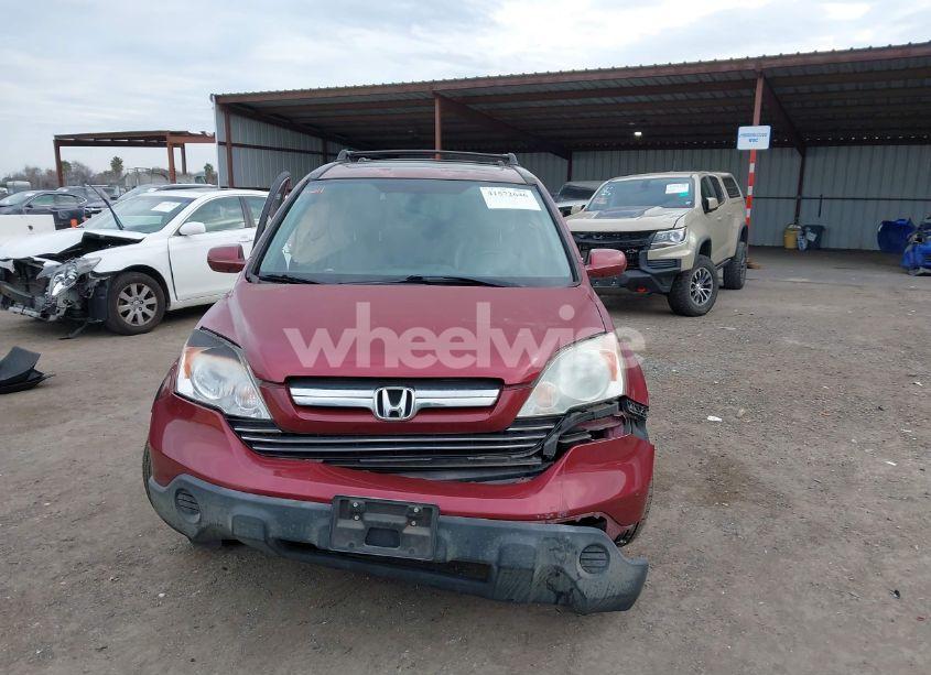 Photo 12 of 2008 Honda Cr-v EX-L (VIN JHLRE48738C019124)