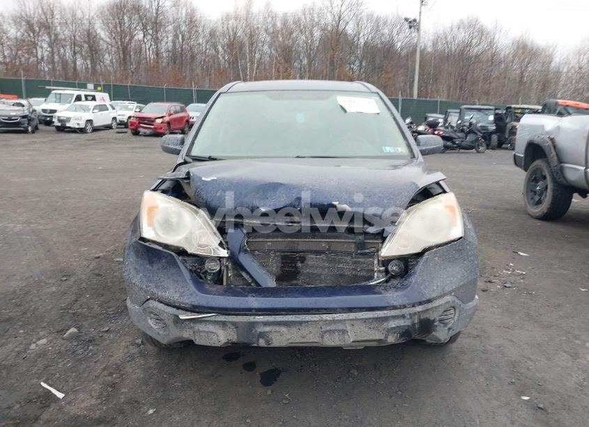 Photo 12 of 2008 Honda Cr-v EX-L (VIN JHLRE48738C040636)