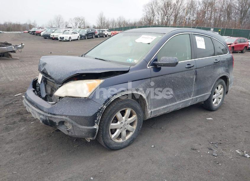 Photo 2 of 2008 Honda Cr-v EX-L (VIN JHLRE48738C040636)