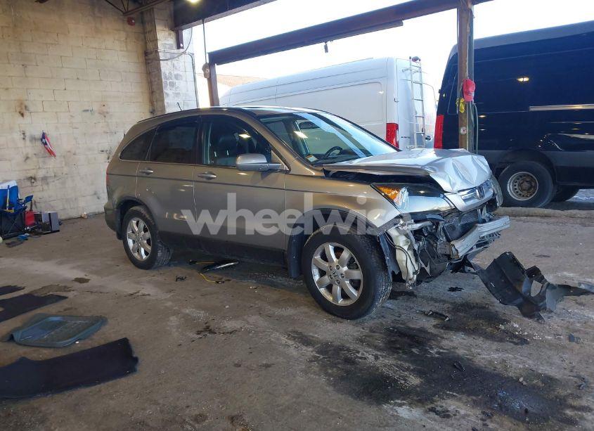 2008 Honda Cr-v EX-L (VIN JHLRE48738C072230) main photo