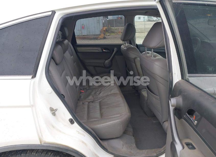 Photo 8 of 2009 Honda Cr-v EX-L (VIN JHLRE48739C003183)