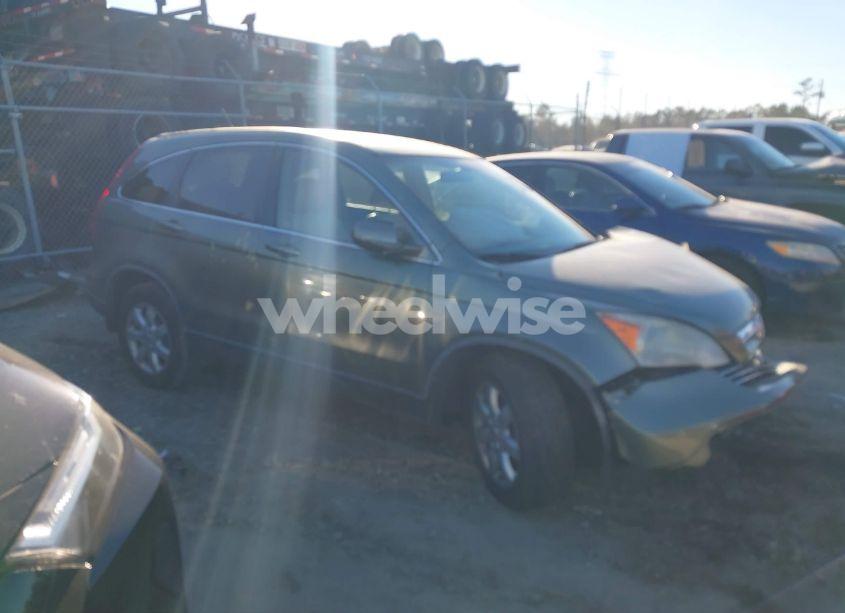 Photo 13 of 2009 Honda Cr-v EX-L (VIN JHLRE48739C020730)