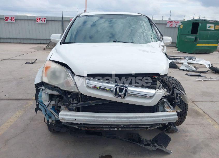 Photo 13 of 2007 Honda Cr-v EX-L (VIN JHLRE48747C044029)