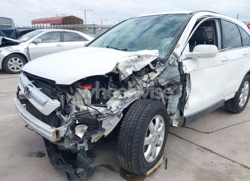 Photo 6 of 2007 Honda Cr-v EX-L (VIN JHLRE48747C044029)