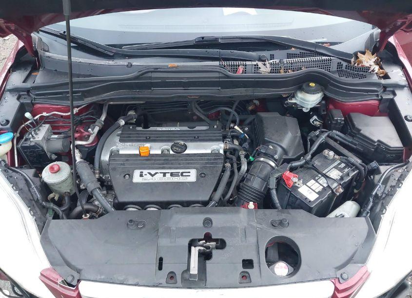 Photo 10 of 2007 Honda Cr-v EX-L (VIN JHLRE48747C049943)