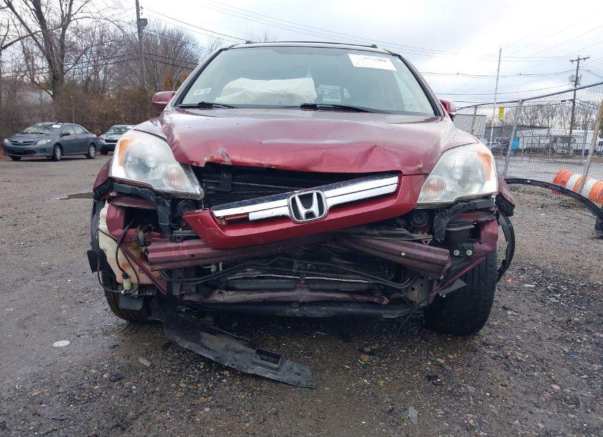 Photo 6 of 2007 Honda Cr-v EX-L (VIN JHLRE48747C049943)