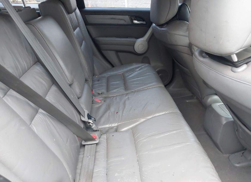 Photo 8 of 2007 Honda Cr-v EX-L (VIN JHLRE48747C049943)