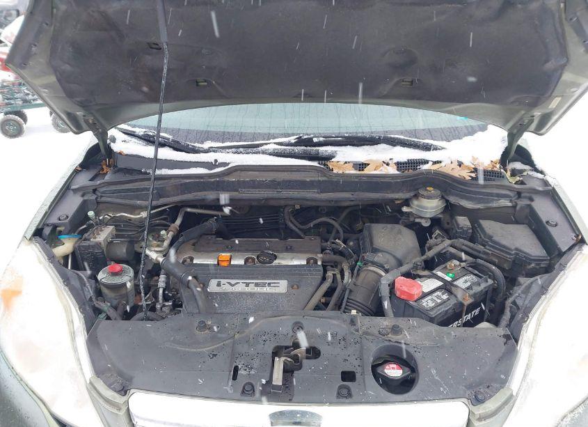 Photo 10 of 2008 Honda Cr-v EX-L (VIN JHLRE48748C044338)