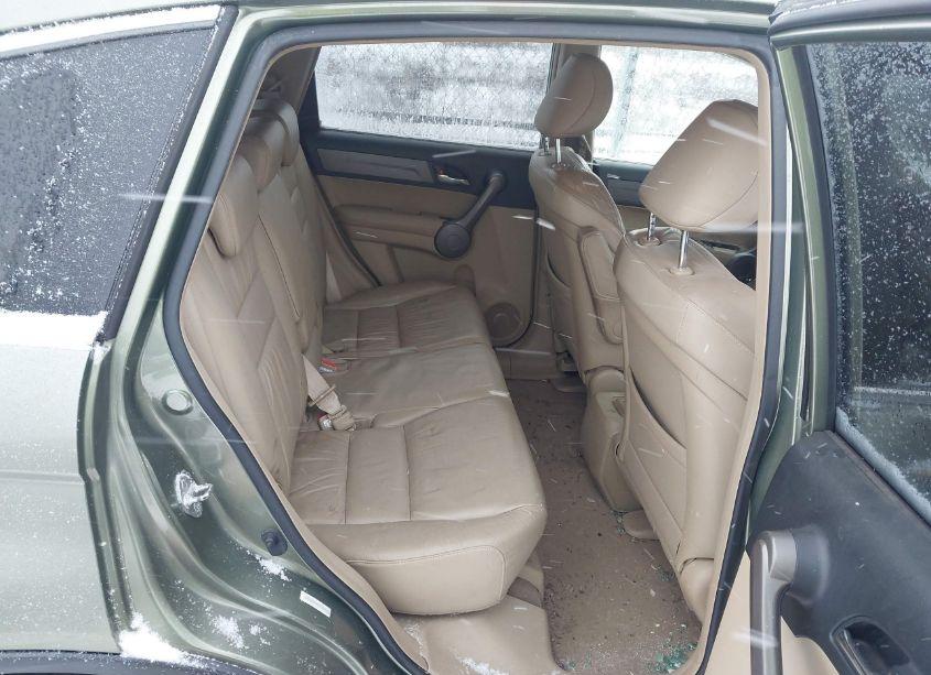 Photo 8 of 2008 Honda Cr-v EX-L (VIN JHLRE48748C044338)
